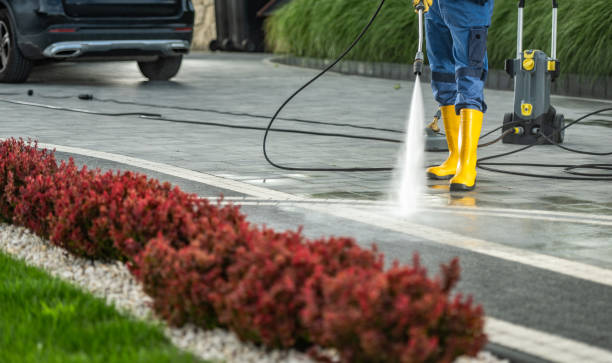 Best Building Exterior Washing  in Rocky Point, NY